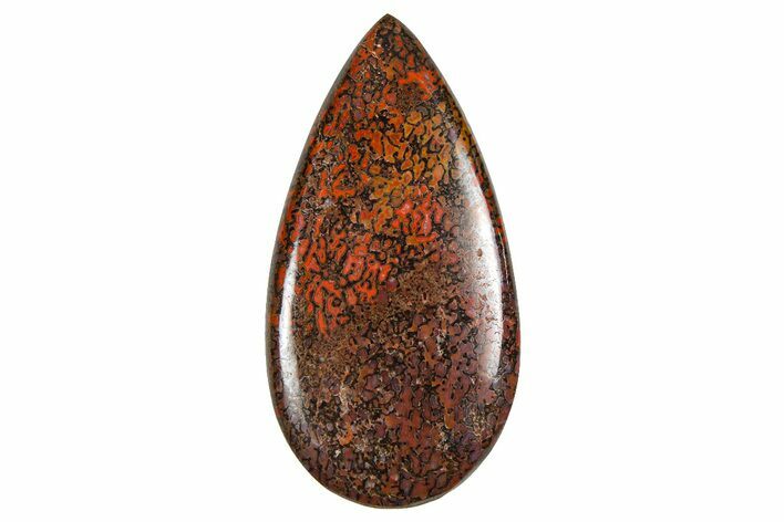 Polished Dinosaur Bone (Gembone) Cabochon - Colorado #370783